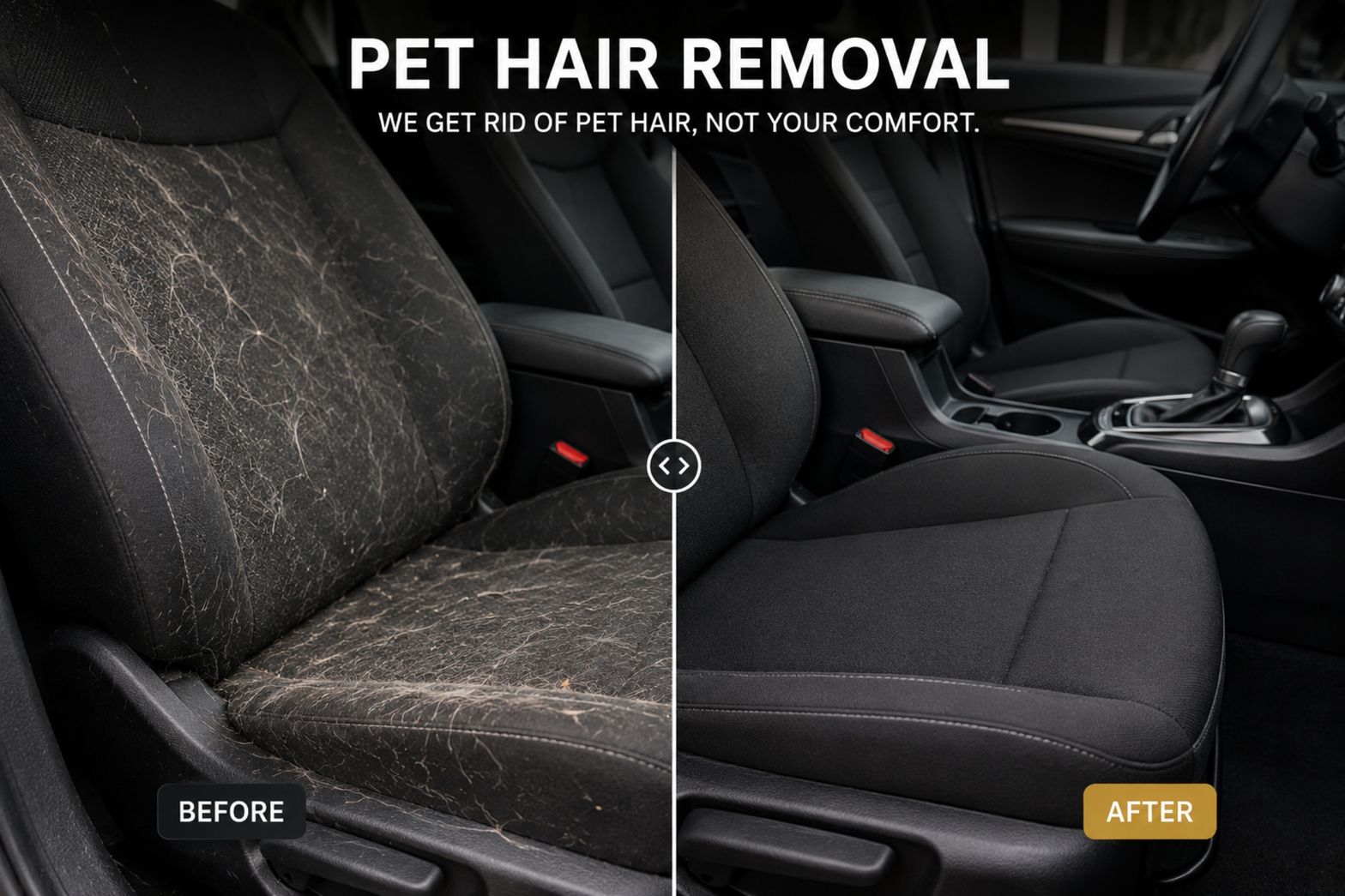 Pet Hair Removal
